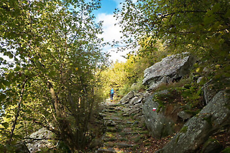 Monte Soglio