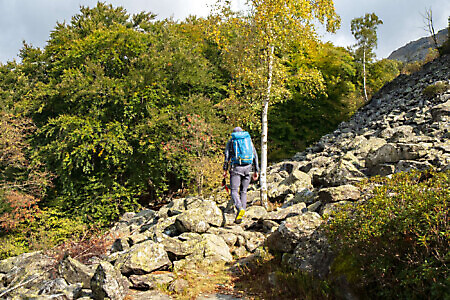 Monte Soglio