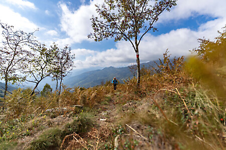 Monte Soglio